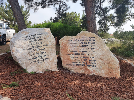 מצפה הבנים כוכב יאיר
